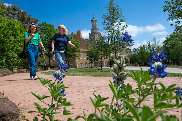 Students walking outside near library mall.